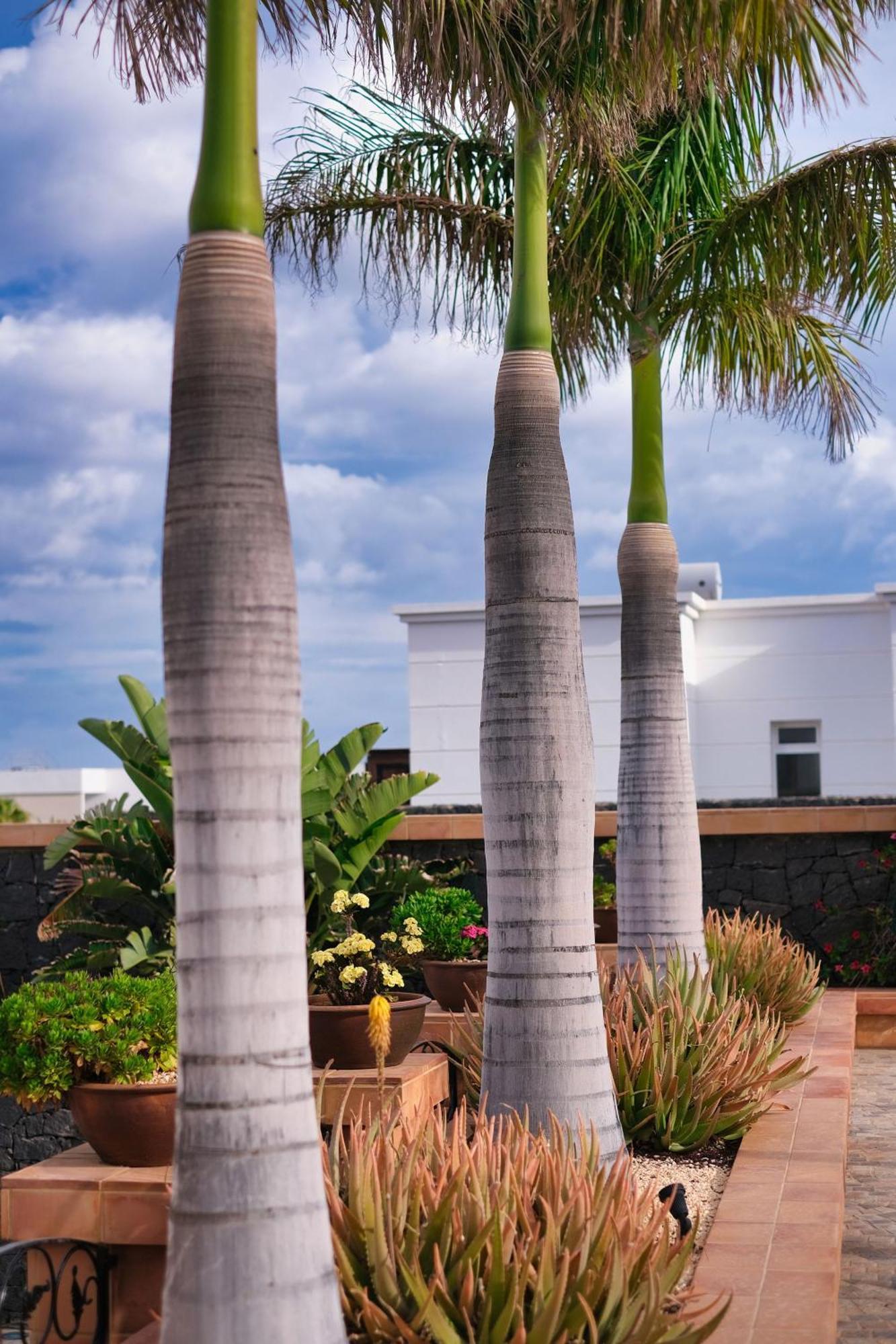 Casa Mia Guest House Puerto Calero Luaran gambar